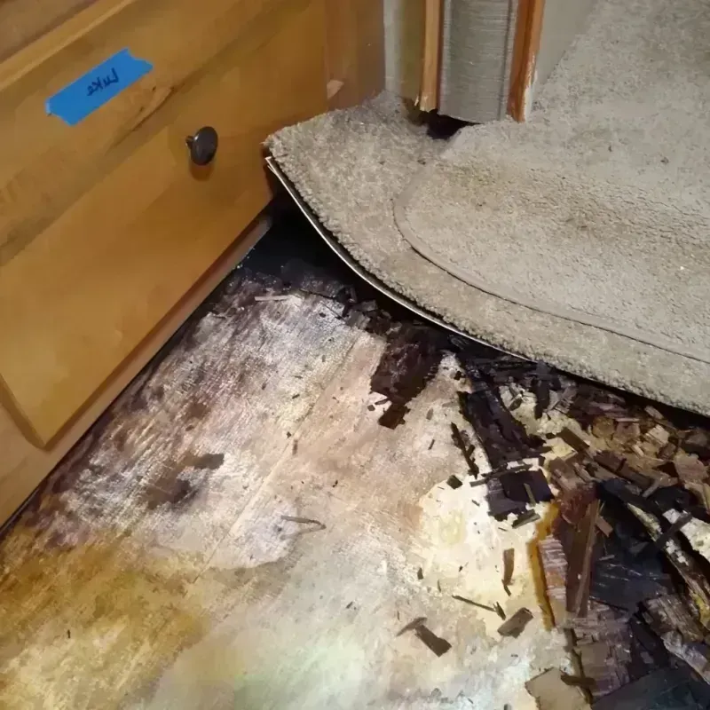 Best Wood Floor Water Damage Service in Hollis, NY